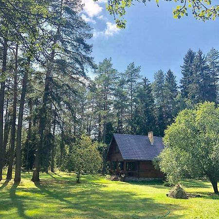 Vila Rojaus Slenis Druskininkai Exteriér fotografie