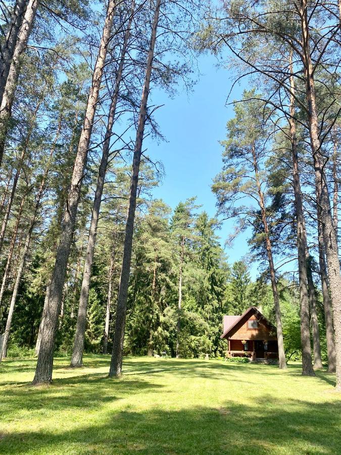 Vila Rojaus Slenis Druskininkai Exteriér fotografie