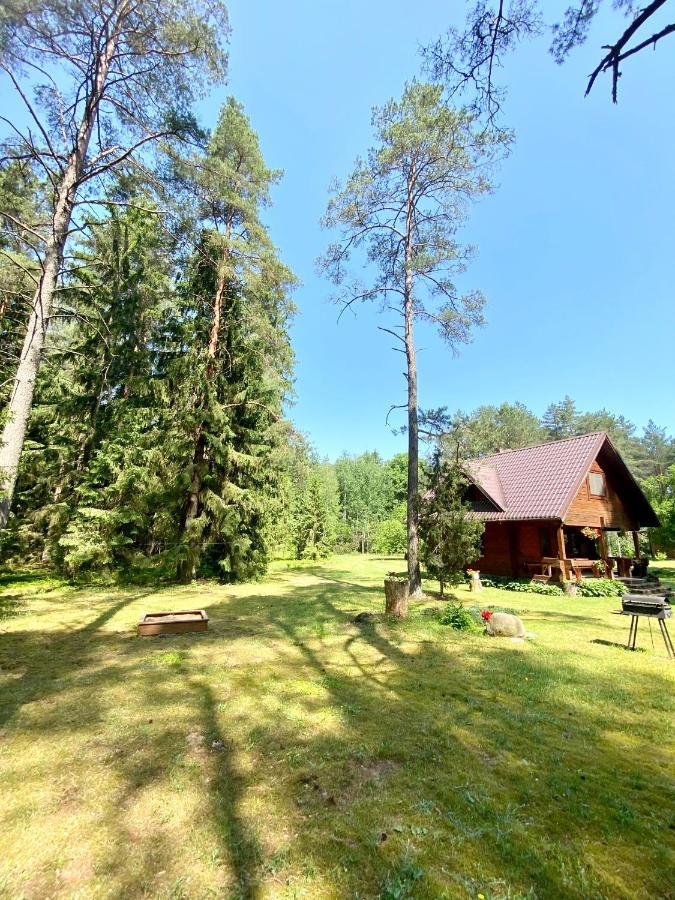 Vila Rojaus Slenis Druskininkai Exteriér fotografie