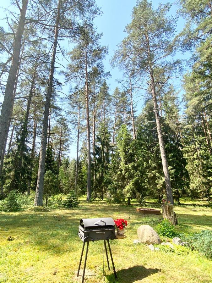 Vila Rojaus Slenis Druskininkai Exteriér fotografie