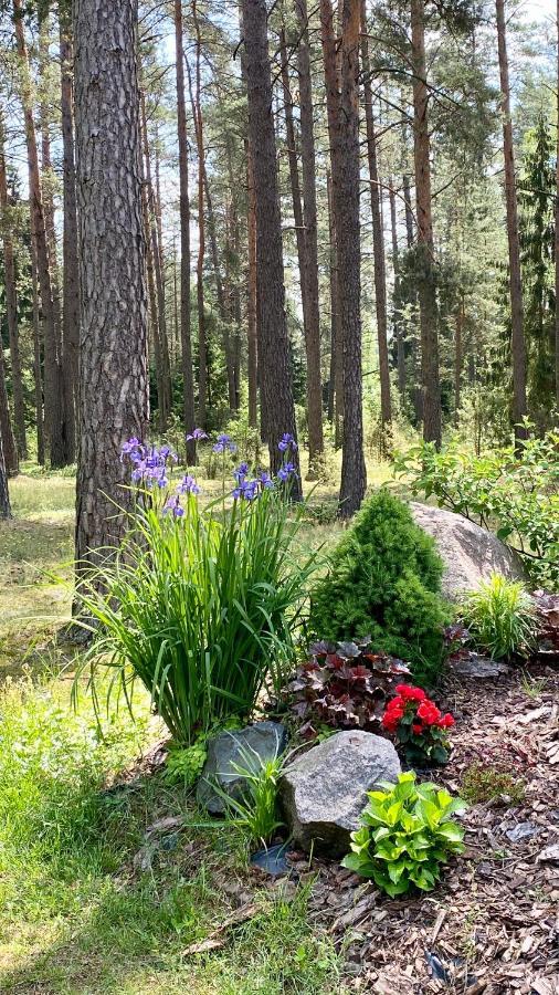 Vila Rojaus Slenis Druskininkai Exteriér fotografie
