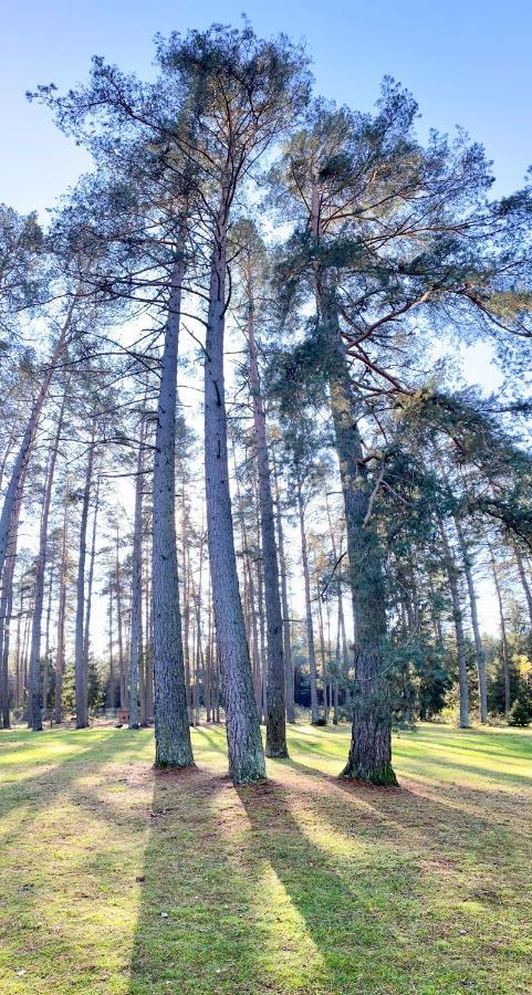 Vila Rojaus Slenis Druskininkai Exteriér fotografie