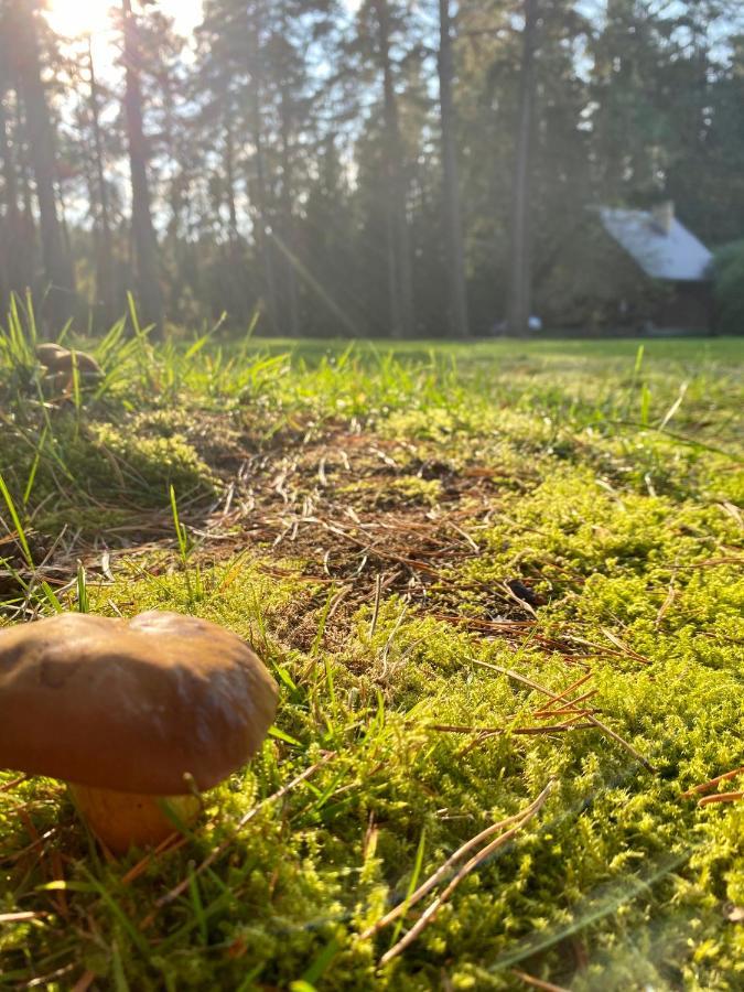 Vila Rojaus Slenis Druskininkai Exteriér fotografie