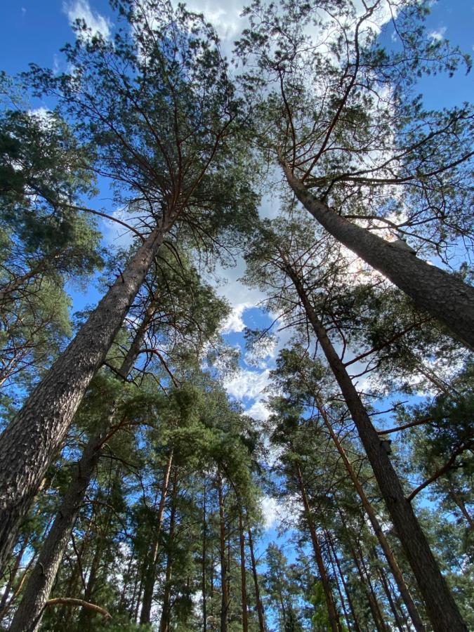 Vila Rojaus Slenis Druskininkai Exteriér fotografie