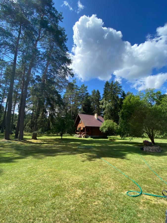 Vila Rojaus Slenis Druskininkai Exteriér fotografie