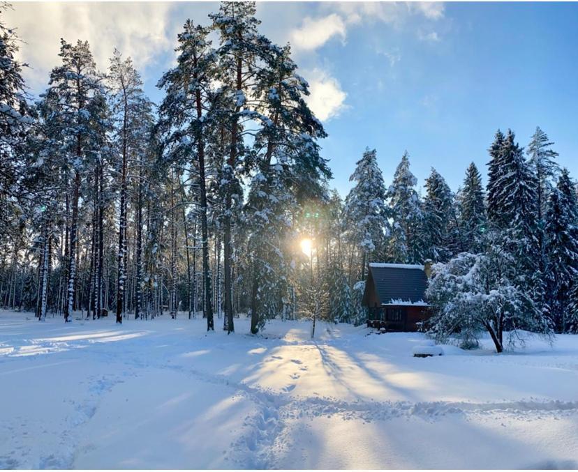 Vila Rojaus Slenis Druskininkai Exteriér fotografie