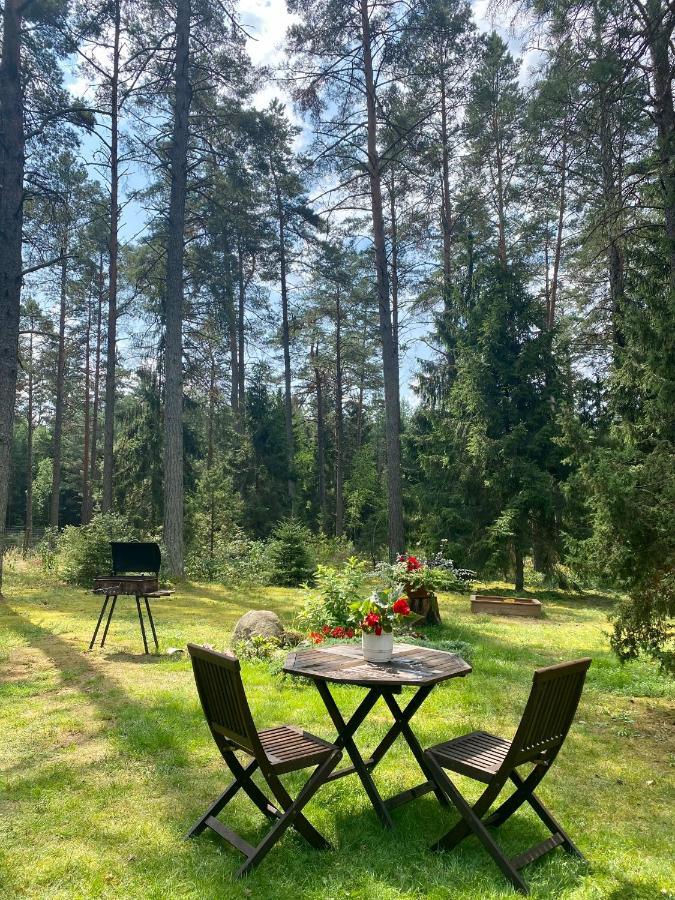 Vila Rojaus Slenis Druskininkai Exteriér fotografie