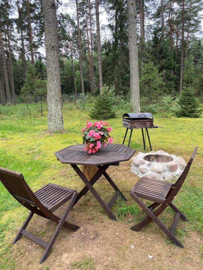 Vila Rojaus Slenis Druskininkai Exteriér fotografie