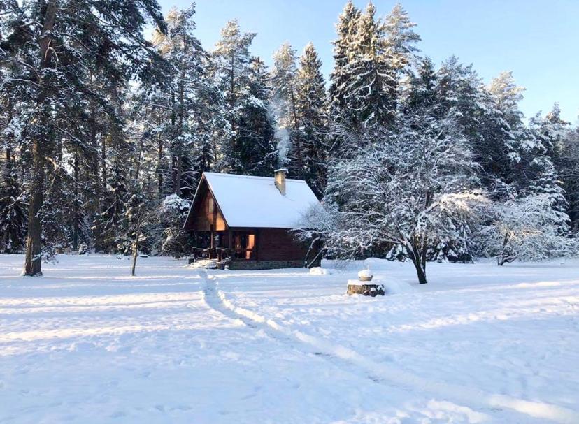 Vila Rojaus Slenis Druskininkai Exteriér fotografie