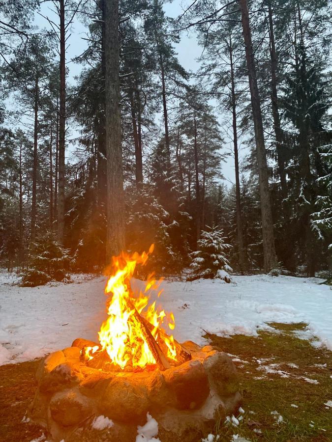 Vila Rojaus Slenis Druskininkai Exteriér fotografie