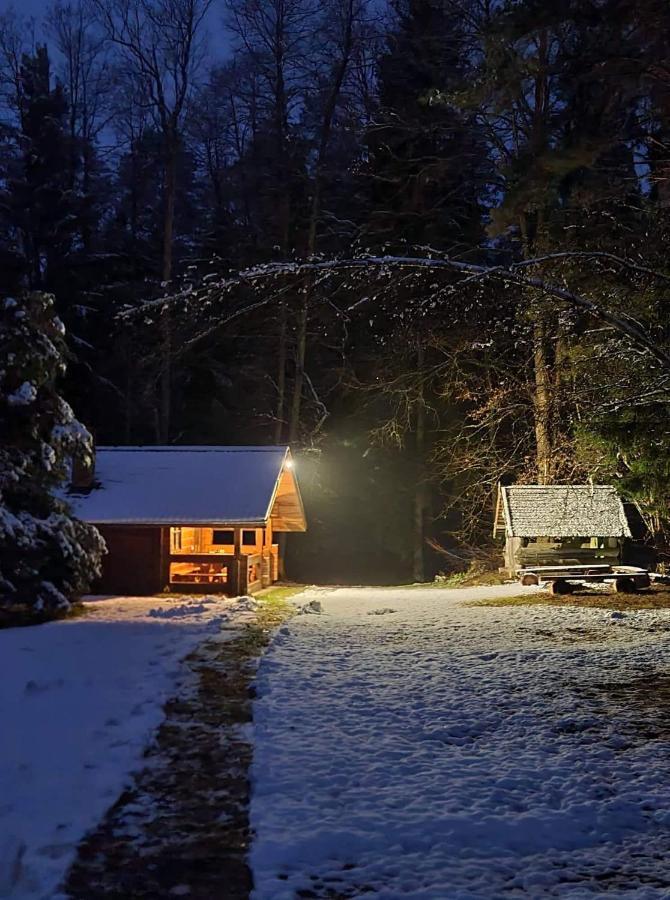Vila Rojaus Slenis Druskininkai Exteriér fotografie