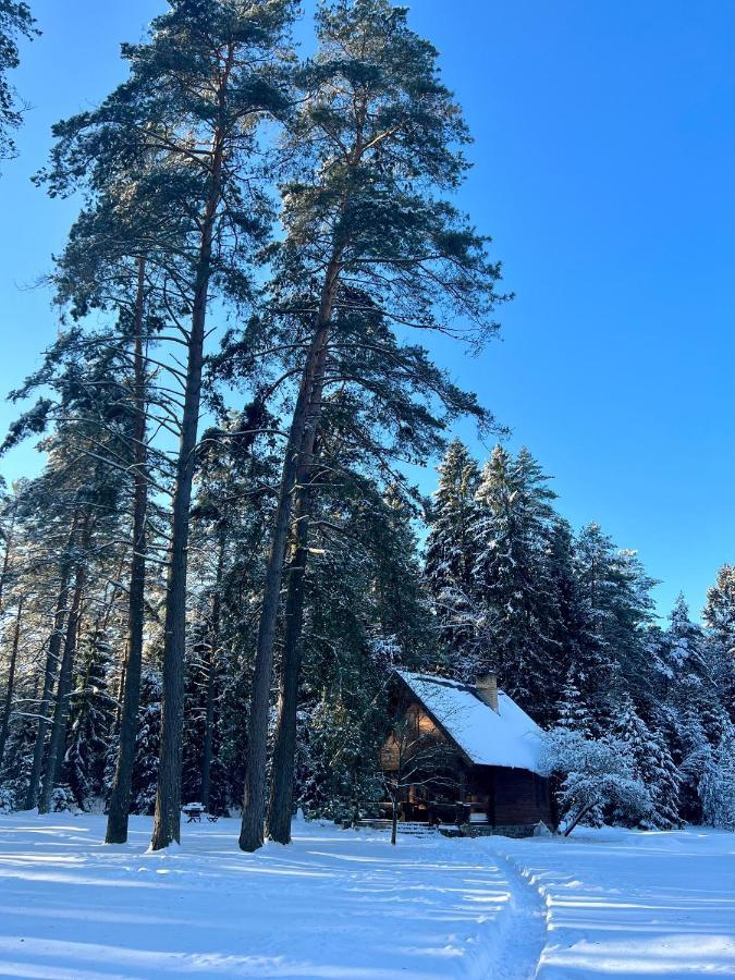 Vila Rojaus Slenis Druskininkai Exteriér fotografie