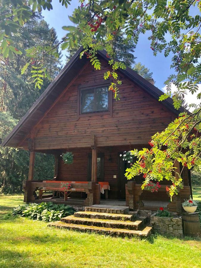 Vila Rojaus Slenis Druskininkai Exteriér fotografie