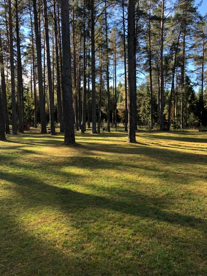 Vila Rojaus Slenis Druskininkai Exteriér fotografie