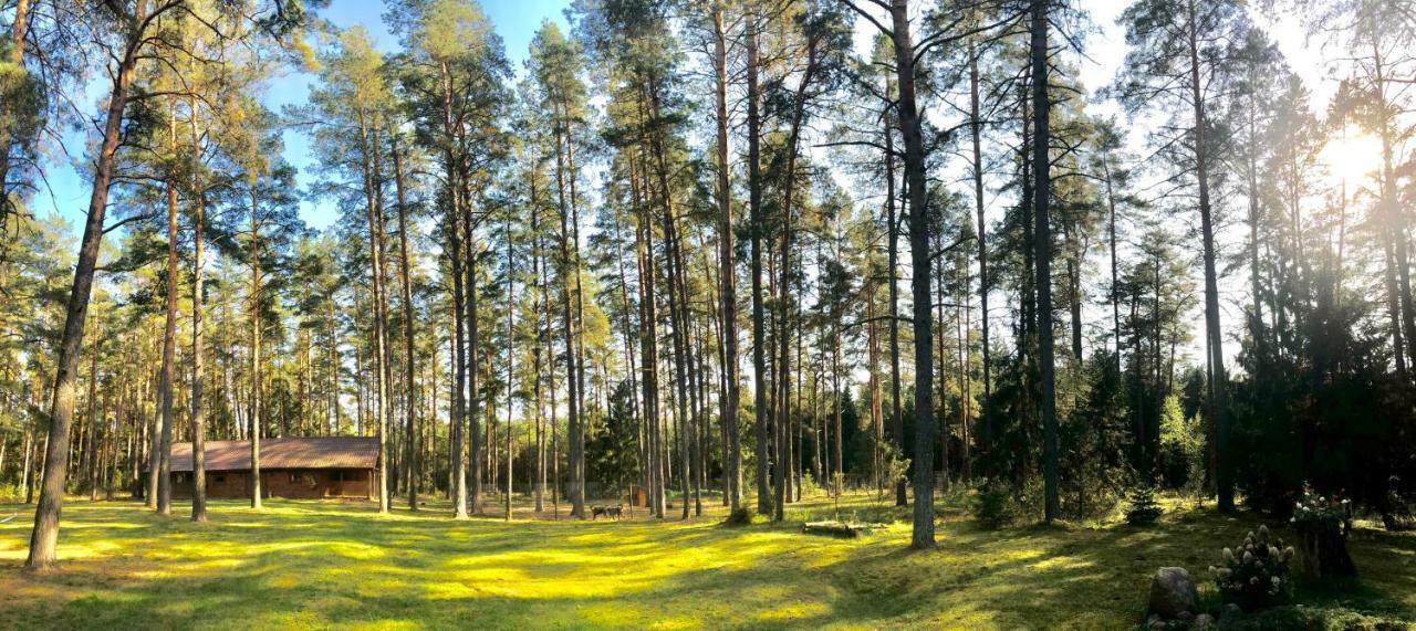 Vila Rojaus Slenis Druskininkai Exteriér fotografie