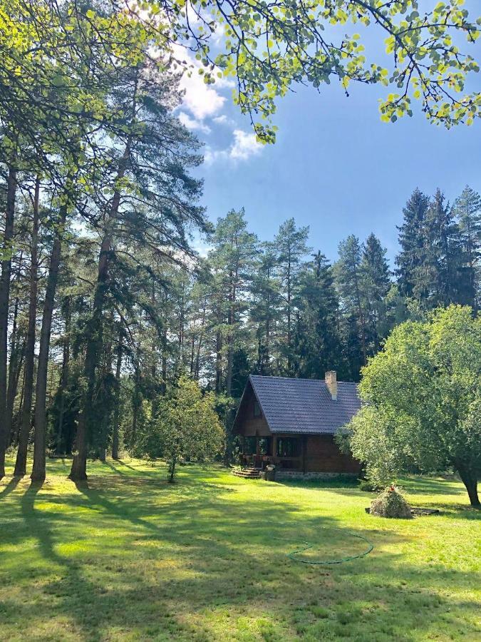 Vila Rojaus Slenis Druskininkai Exteriér fotografie