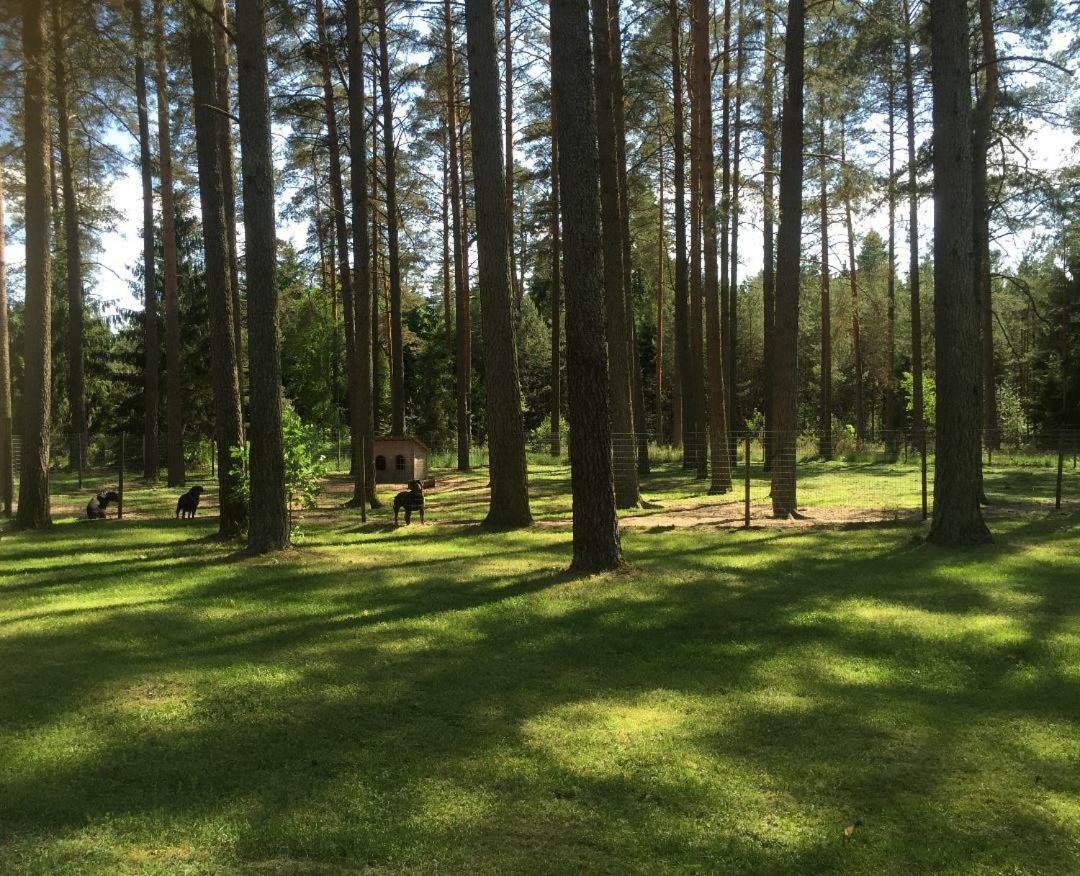 Vila Rojaus Slenis Druskininkai Exteriér fotografie